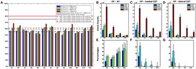 White Matter Tissue Quantification at Low b-Values Within Constrained Spherical Deconvolution Framework